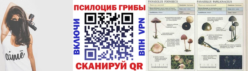 купить наркоту  Пионерский  Псилоцибиновые грибы ЛСД 