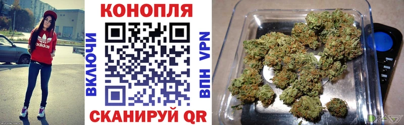 купить   Пионерский  Бошки марихуана THC 21% 